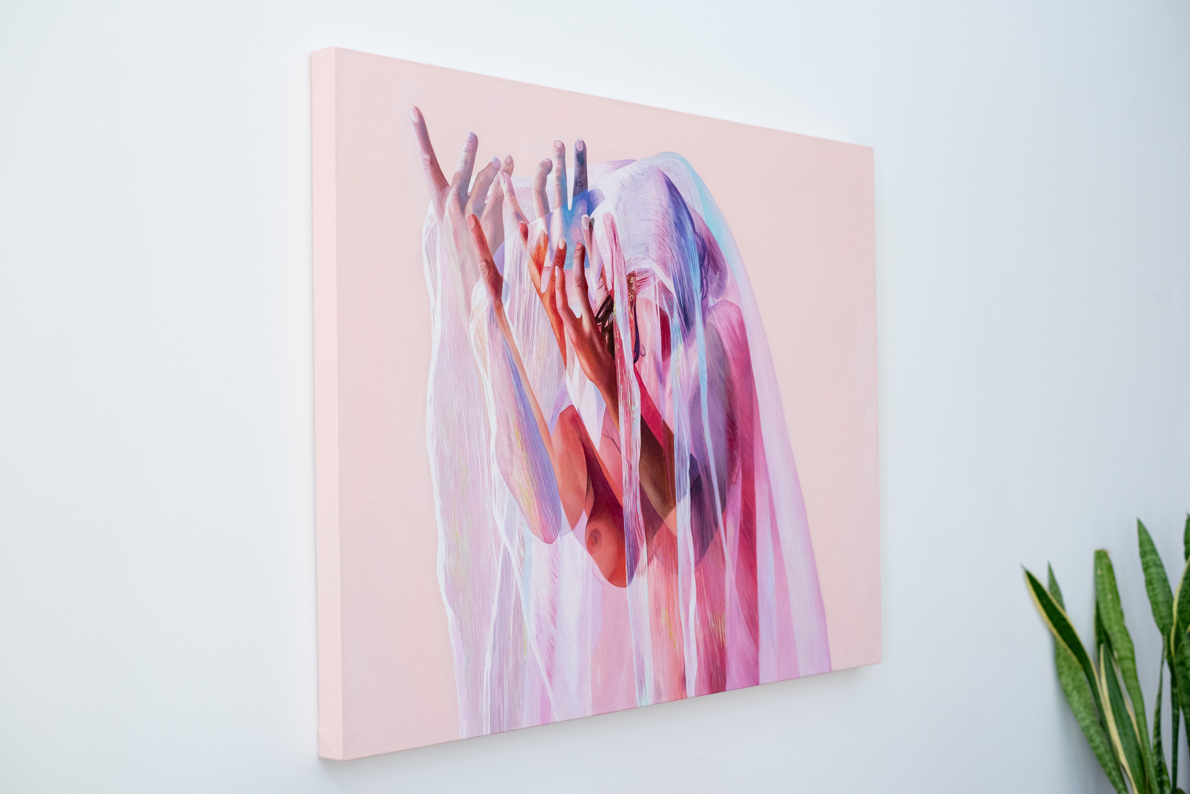 Veiled Imagination