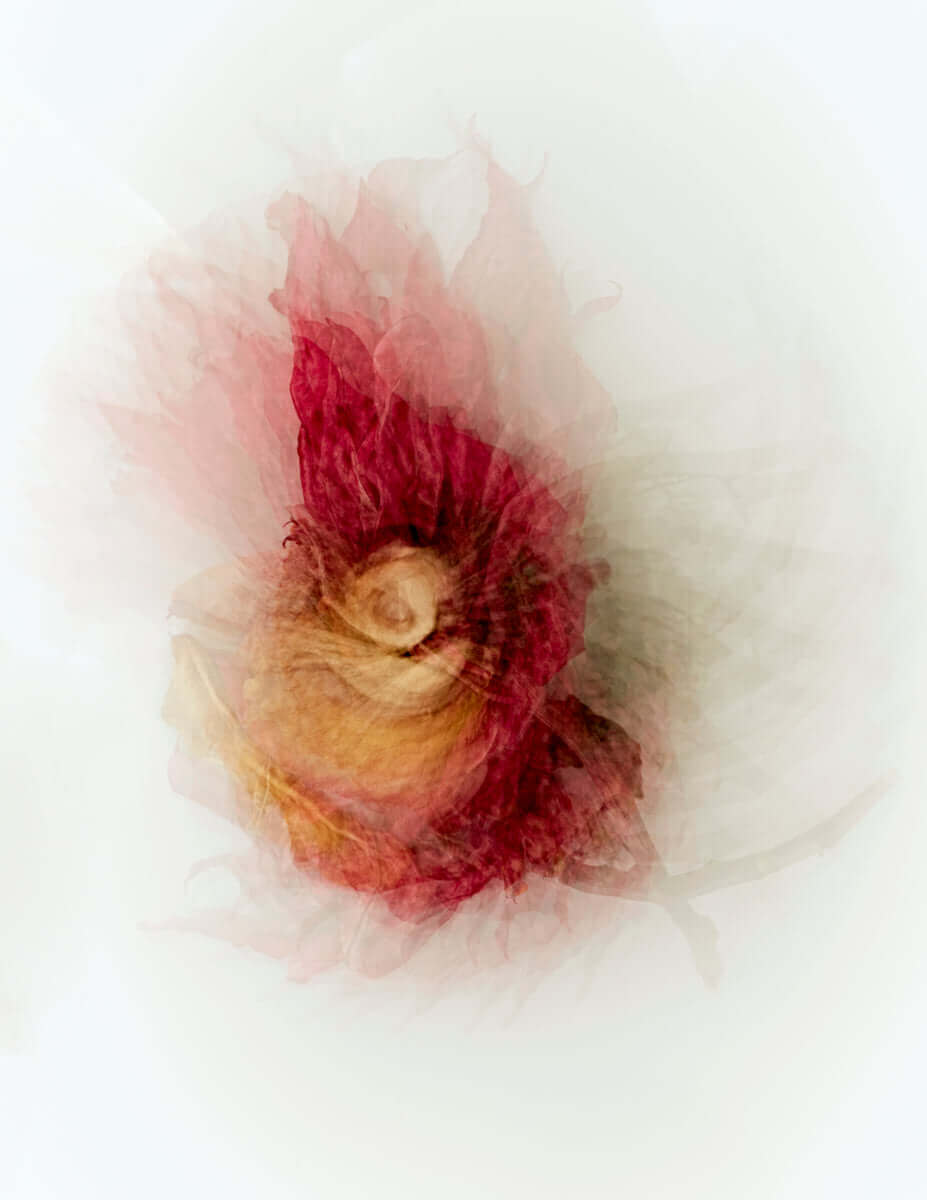 Floral Movements