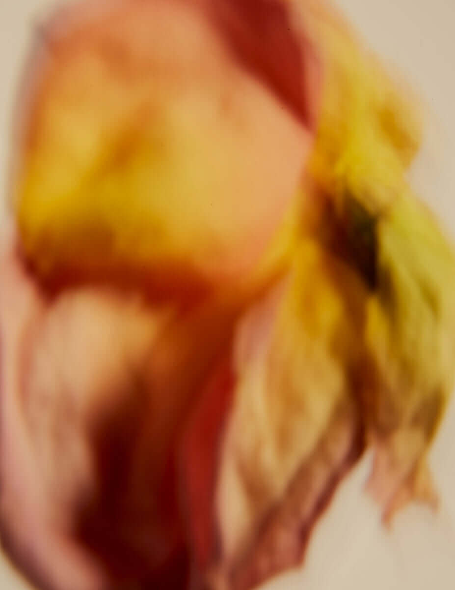 Floral Movements
