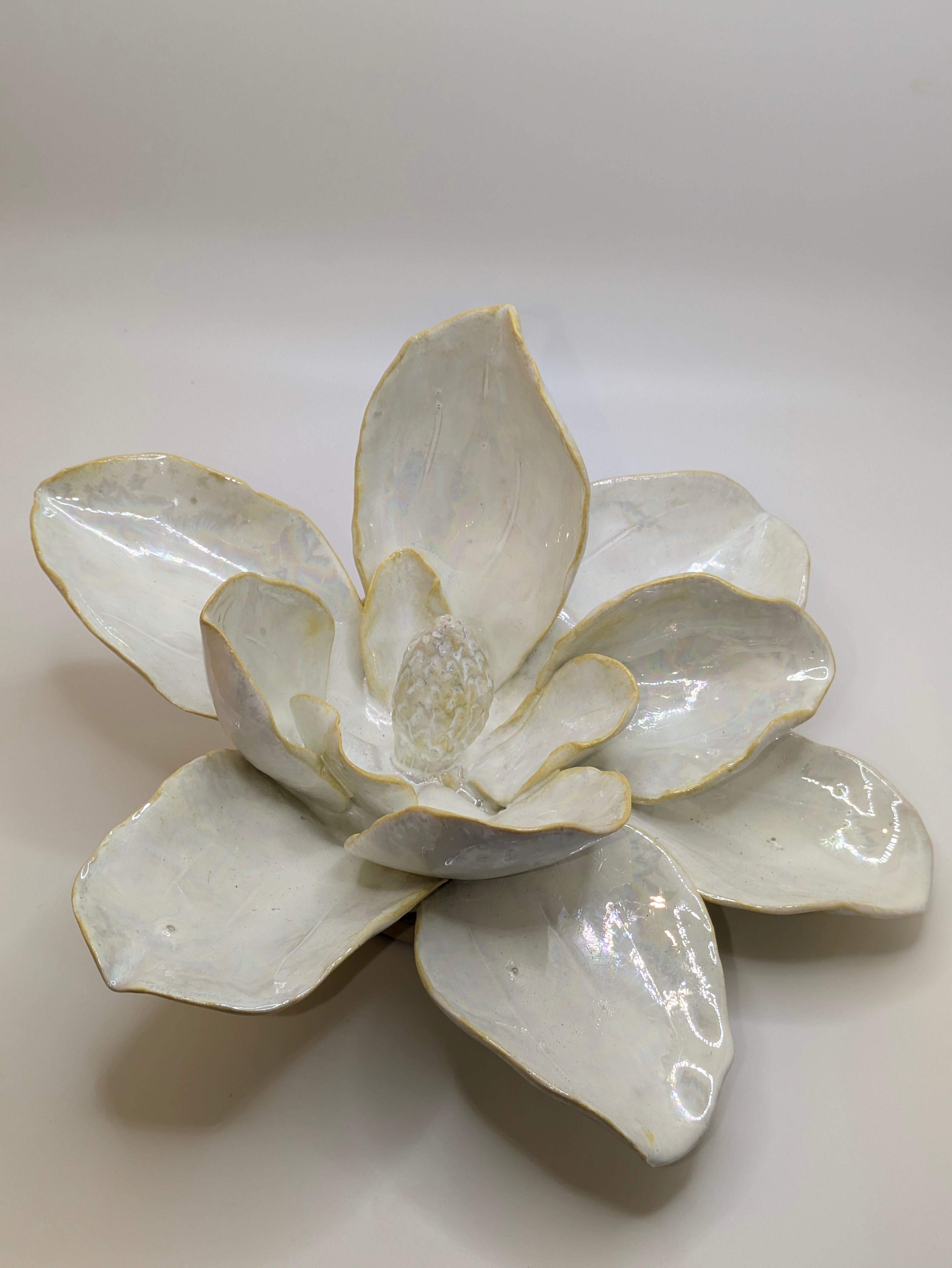 Pearl Magnolia