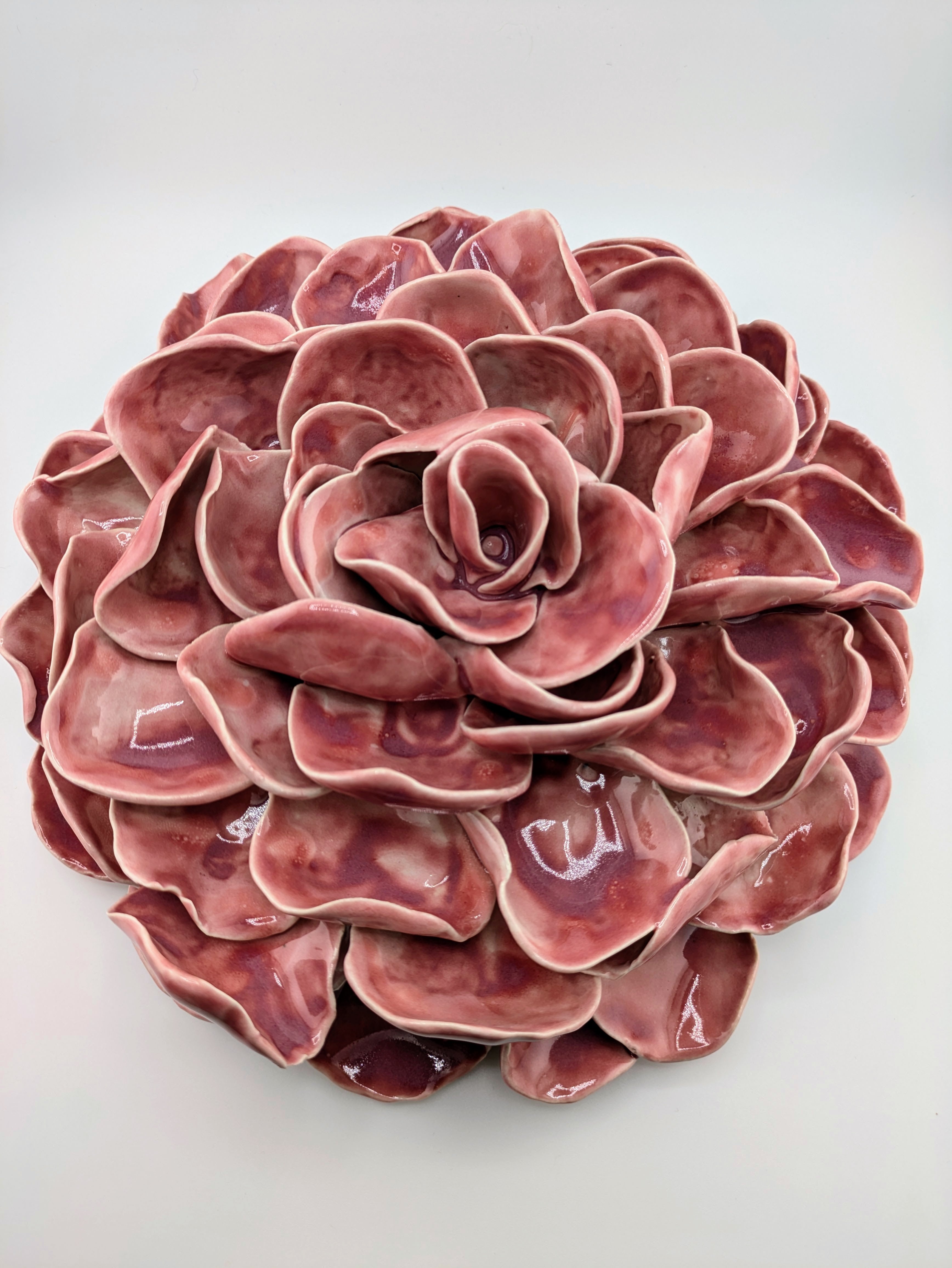 Rose Celestial Bloom