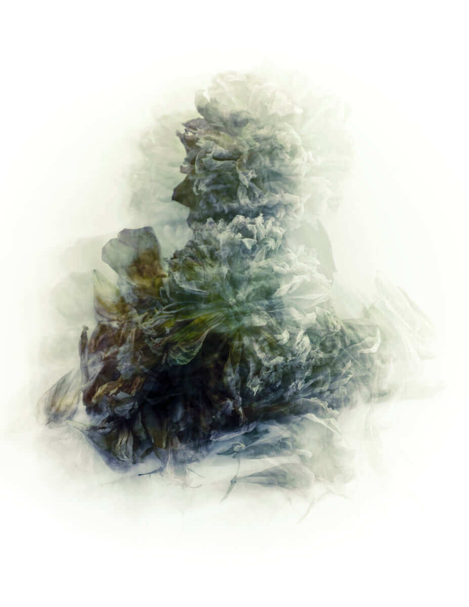 Image of Floral Movements