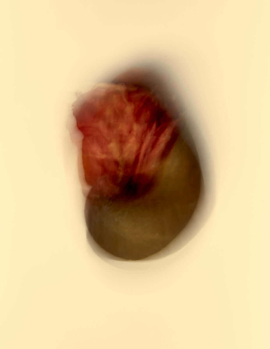 Image of Floral Movements