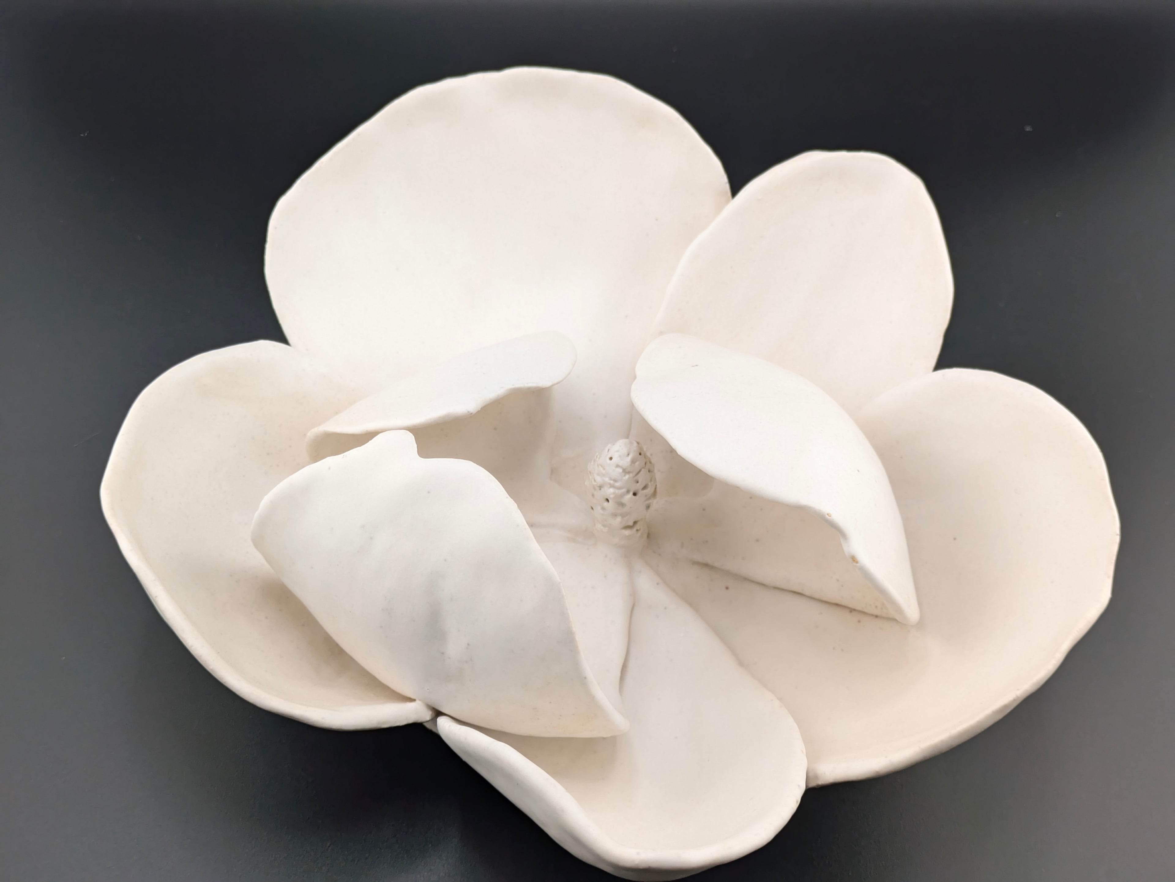 Alabaster Magnolia