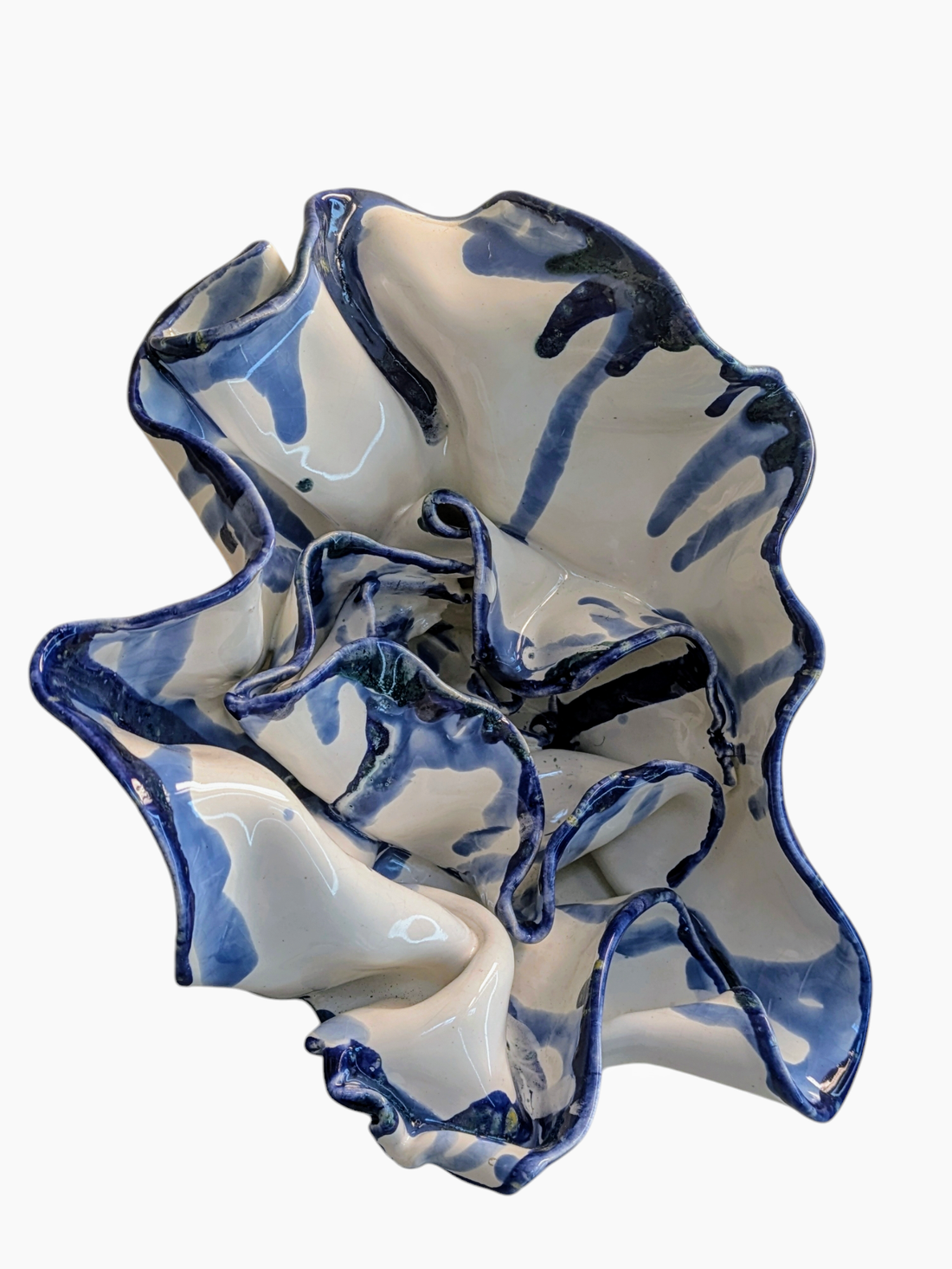 Ocean Celestial Bloom