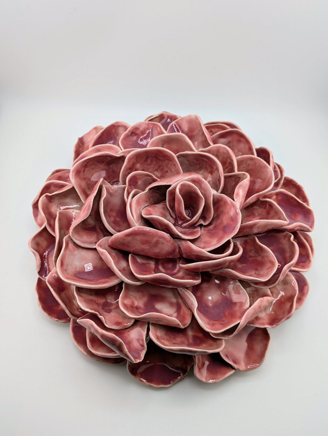 Rose Celestial Bloom