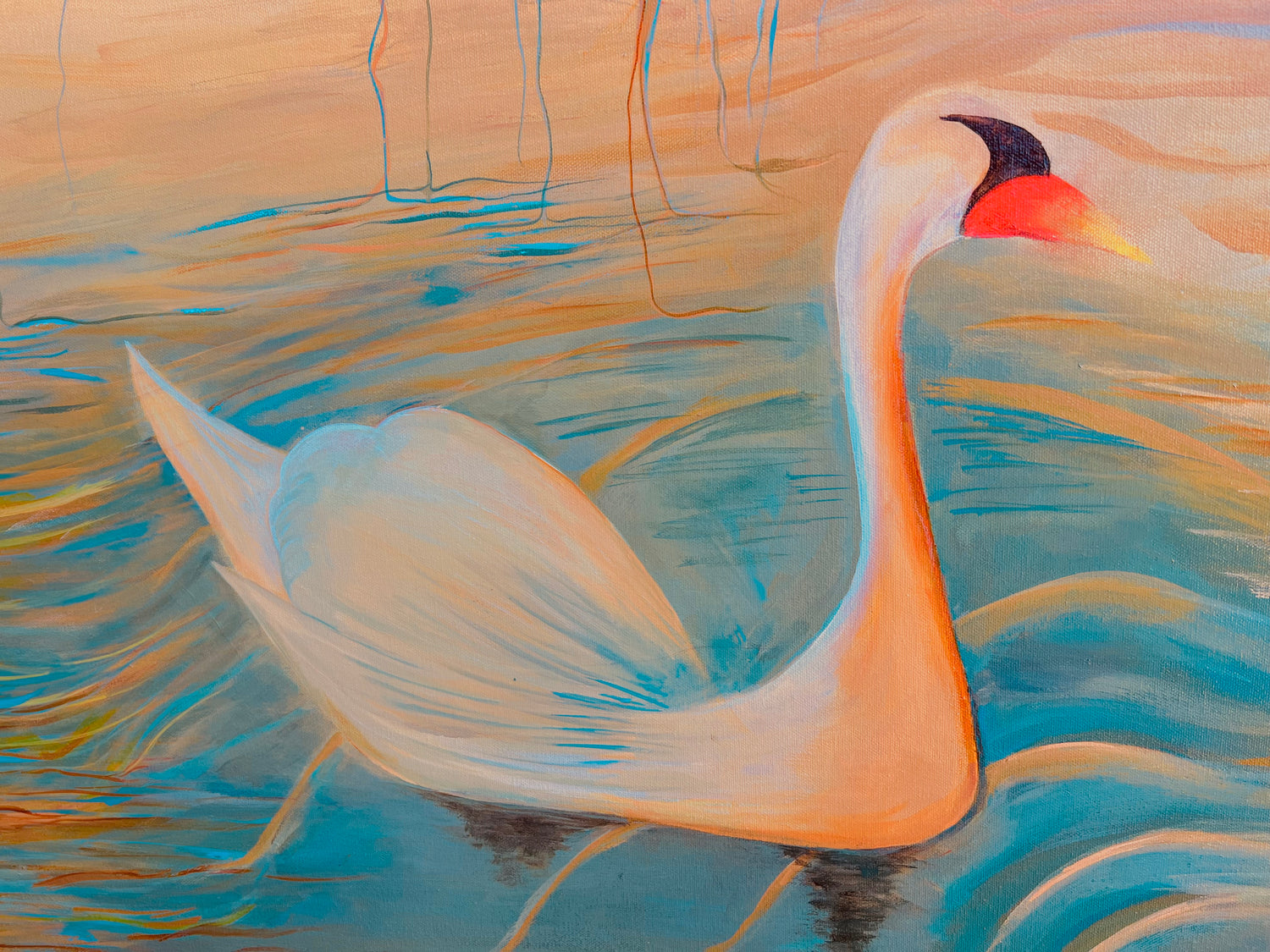 The White Swan of Audubon Park